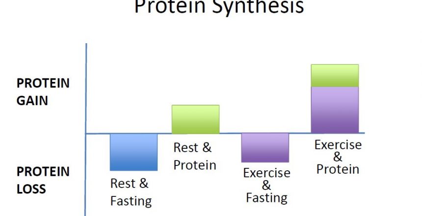 Excercise-plus-protein