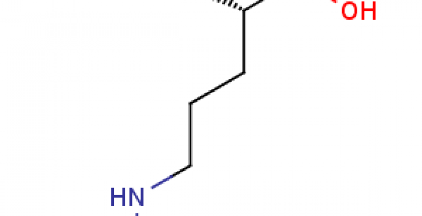 LCitrulline-amino-acid-visual-representation