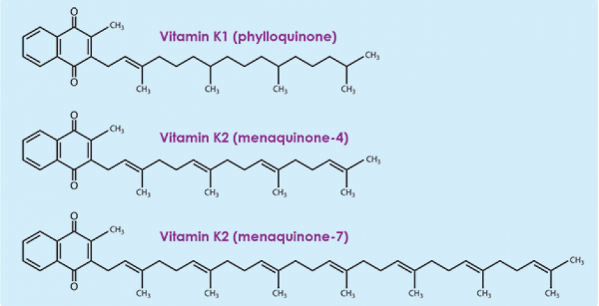 Diagram of Vitamin K