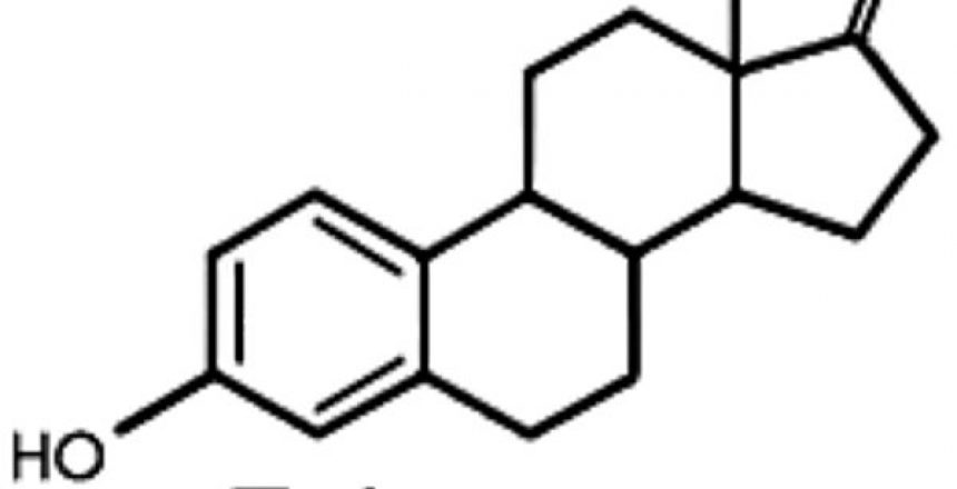 Estrogen molecule