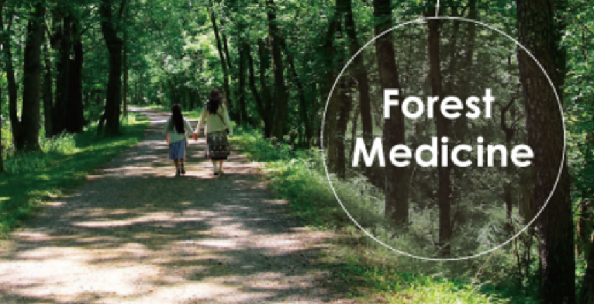 forest-medicine